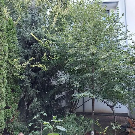 Apartman Apartment Corona *