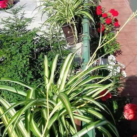 Apartment Corona * Kassa